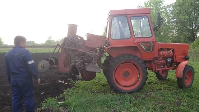 Т-25 Посадка картофеля самодельной картофелесажалкой смотреть онлайн