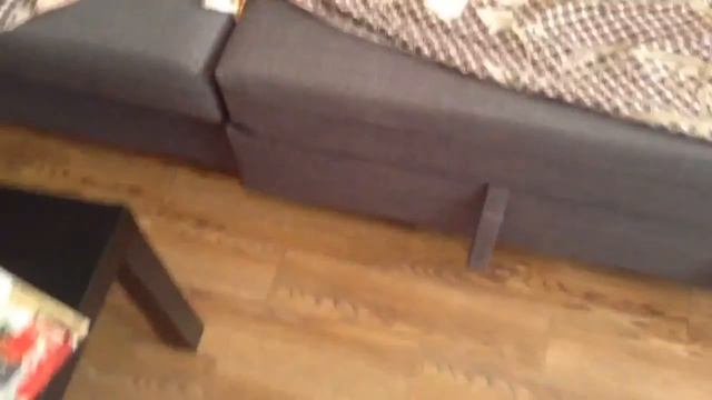 Моську засасывает под диван смотреть онлайн