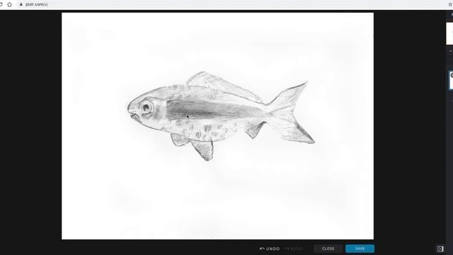 Painting fish drawings Online in Pixlr смотреть онлайн