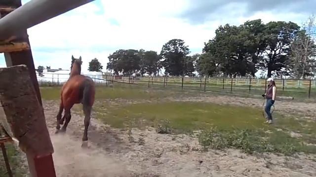 Инфант смотреть онлайн