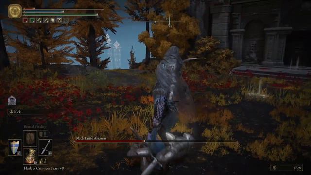 ELDEN RING™ Black Knife Assassin Boss Fight (Sainted Heros Grave) смотреть онлайн