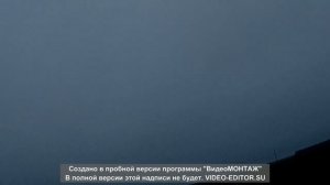 охота с гончими по зайцу Беларусь