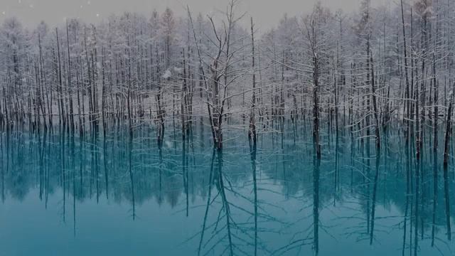 Relax video. Зима. Музыка для Медитации и Релаксации. Расслабляющая, Эмбиентная музыка смотреть онлайн