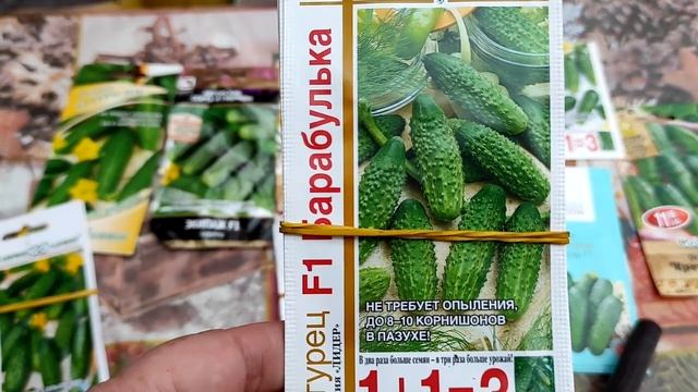 Какие сорта огурцов я сею каждый год для своей теплицы? смотреть онлайн