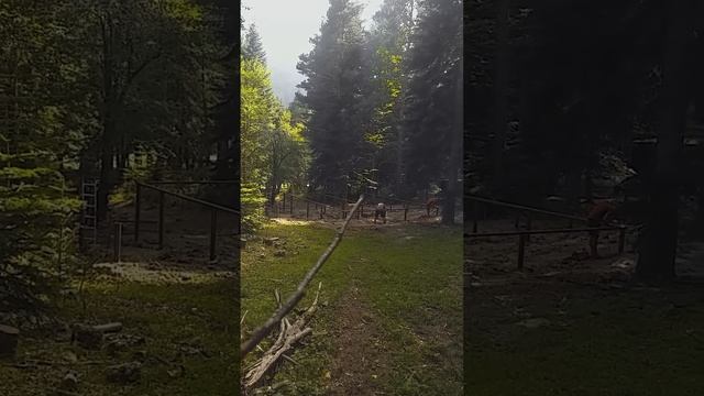 Свайно ростверковый фундамент с монолитной плитой смотреть онлайн