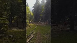 Свайно ростверковый фундамент с монолитной плитой