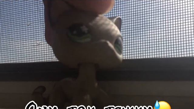 LPS MV 🌼Ромашки🌼 смотреть онлайн