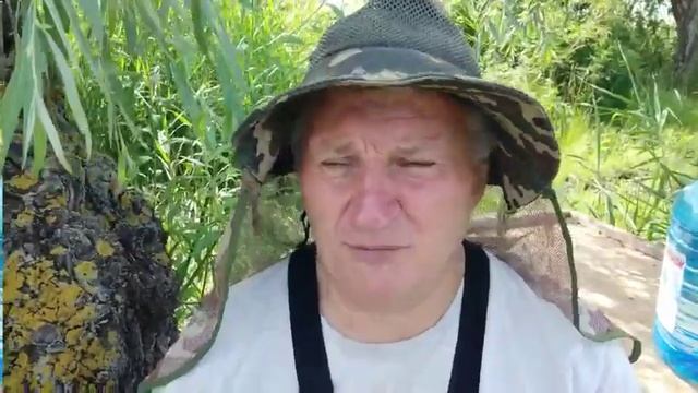 Рыбалка в жару / Днестр / +33 смотреть онлайн
