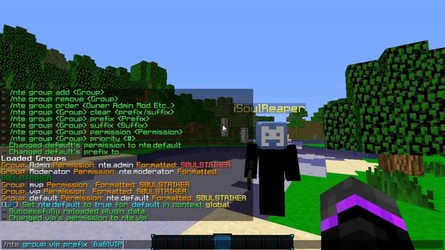 Name Tag Edit Plugin Tutorial | Minecraft Plugins смотреть онлайн