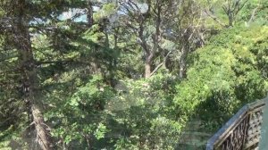 Экскурсия в Никитский ботанический сад - 03