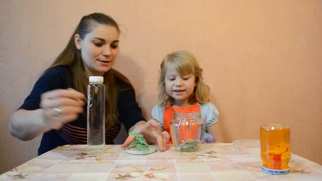 Снежный шар своими руками, мини аквариум. Мастер класс от Евы смотреть онлайн