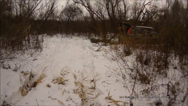 Плетение из ивы, заготовка ивы сорт Маяк. смотреть онлайн