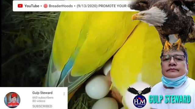 FLM UPDATE GULP STEWARD WITH FVM VLOG смотреть онлайн