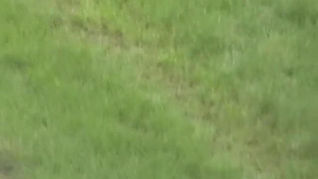 (BLUE DOT POWDER)--TIKKA T3 LITE .223REM 1 IN 8"TWIST (PART 3 ).prone/bipod смотреть онлайн