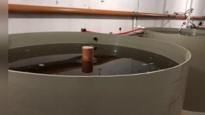 Основной принцип работы УЗВ☝️