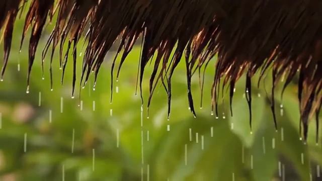 Красивая Фортепианная Музыка ❤️ Расслабляющая Музыкальная Смесь Для Изучения И Сна смотреть онлайн