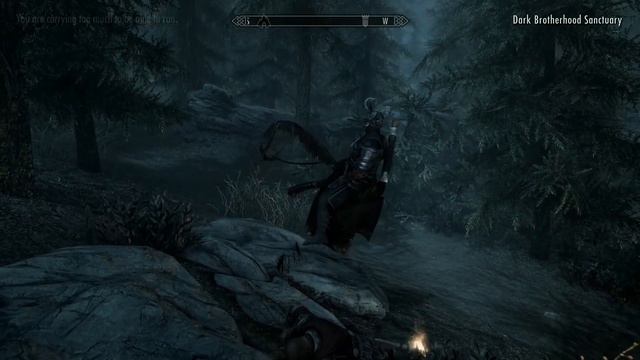 Shadowemere Turned Invisible #Shadowemere #skyrimspecialedition #Skyrim #darkbrotherhood #Elad10e смотреть онлайн