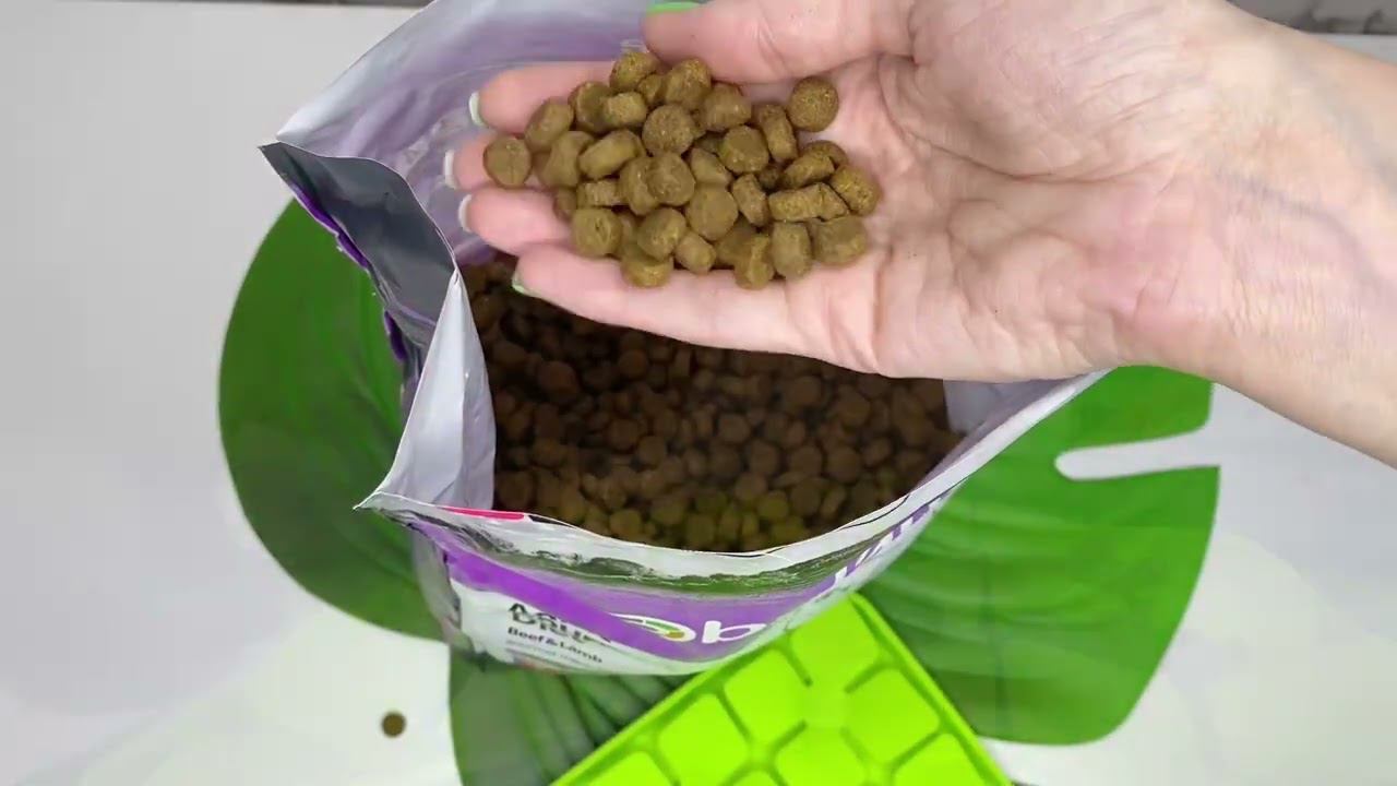 Корм для кошек PROBALANCE "GOURMET DIET BEEF & LAMB" С ГОВЯДИНОЙ И ЯГНЕНКОМ смотреть онлайн