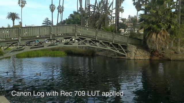 Canon XC10: Canon Log example in Echo Park смотреть онлайн