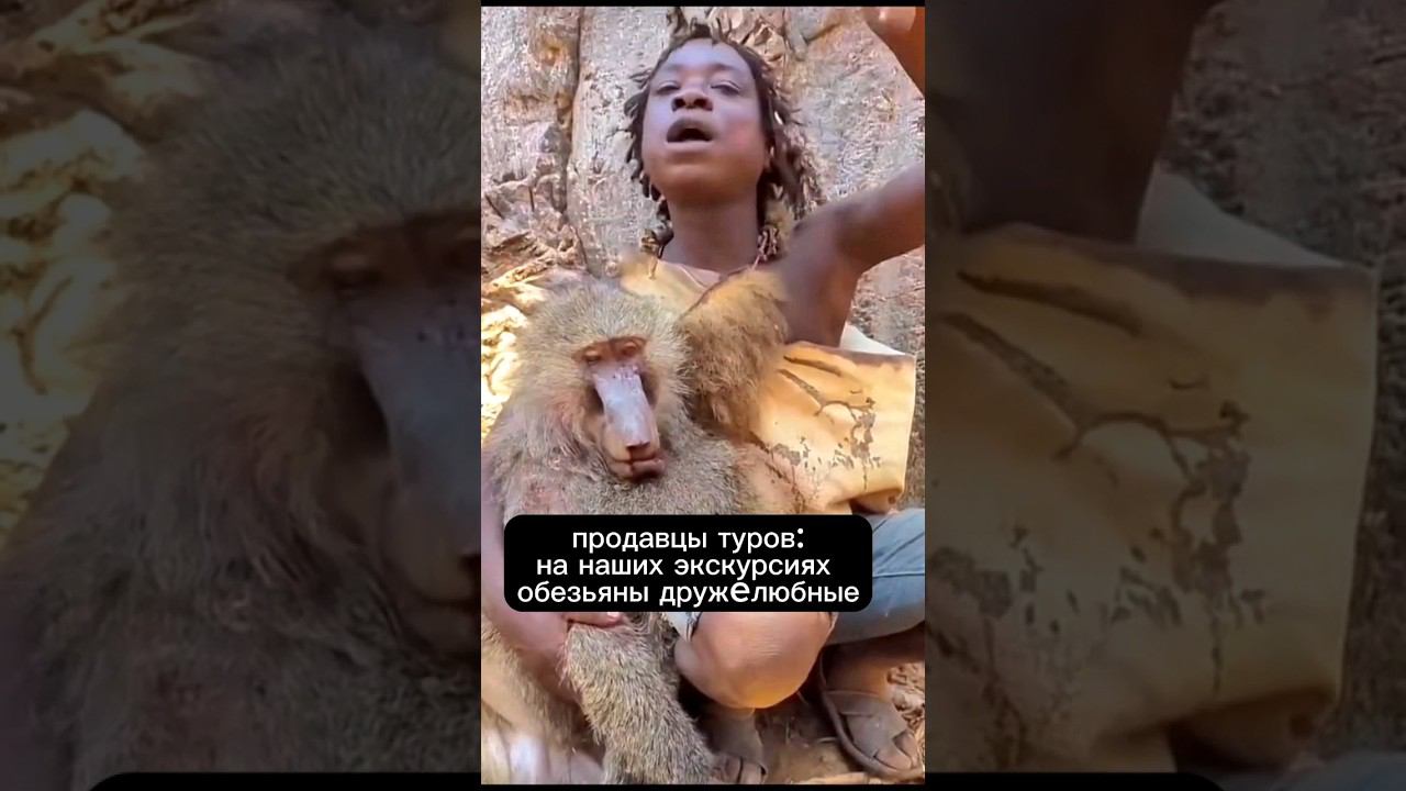 А у вас было такое на экскурсии в Паттайе? Нападение обезьян в Таиланде. смотреть онлайн