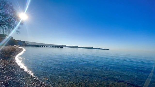 КОППЕРФИЛЬД уехал ЗА ГРИБАМИ в НОЯБРЕ ! Грибник нашёл МОРСКОЙ ГРИБ ! Краснодарский край ! Грибы 202 смотреть онлайн