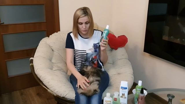 Что использую для ухода за Шпицем и Чихуахуа | часть 1