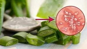 Как ПОБЕДИТЬ активность ГЕРПЕСА! Народные СРЕДСТВА лечения наружные и изнутри!