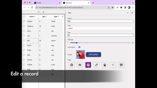 XenonJs: Records Database смотреть онлайн