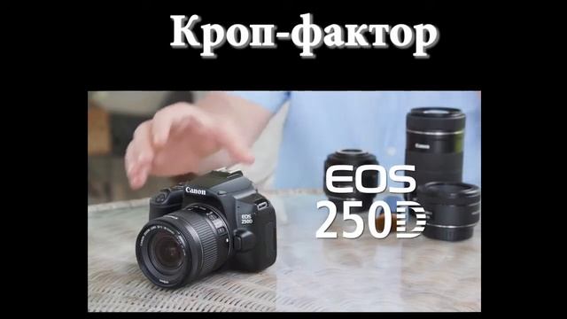 Самая легкая и компактная зеркальная камера от Canon смотреть онлайн