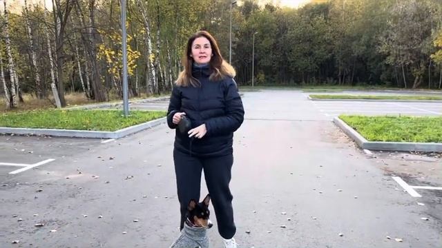 Вся правда, плюсы и минусы басенджи. Мои впечатления и советы по воспитанию собаки ? смотреть онлайн