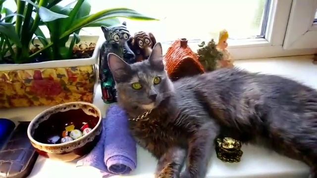 Машка меломанка??? смотреть онлайн