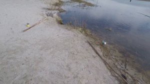 НЕРЕСТ ЯЗЯ!!! РЫБАЛКА НА ПОПЛАВОК...