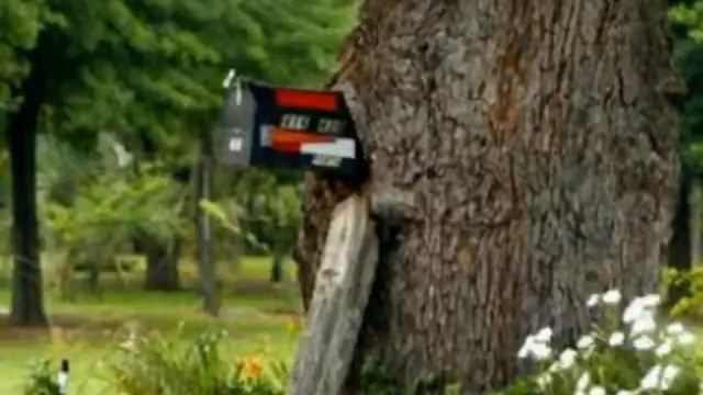 Amazing power of tree. смотреть онлайн