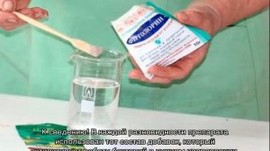 Фитоспорин для комнатных растений: инструкция по применению