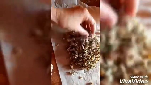 Сусабын(шампунь) жасау. смотреть онлайн