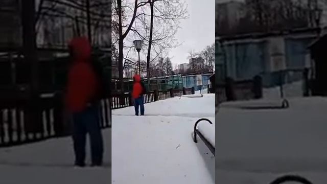 Беременную верблюдицу пытались вывезти из зоопарка "Мишутка" смотреть онлайн