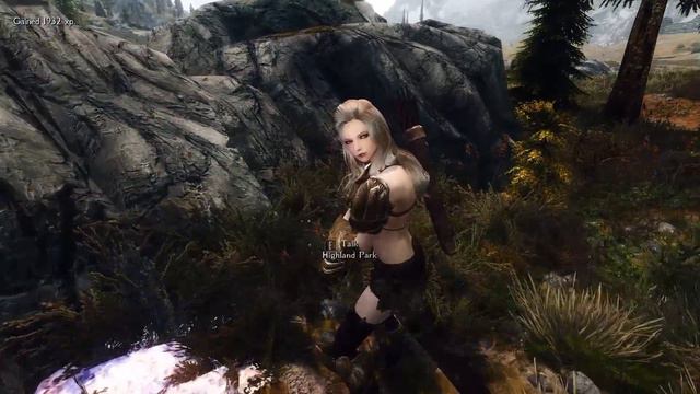 Skyrim: Highland Park Follower смотреть онлайн