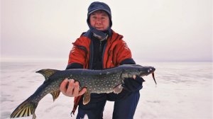 Рыбинка. Последний лёд.