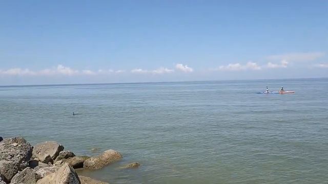 Самый ЛУЧШИЙ пляж Ейска "Ейская коса"/Случайная встреча с ПОДПИСЧИКАМИ! Часть1 смотреть онлайн