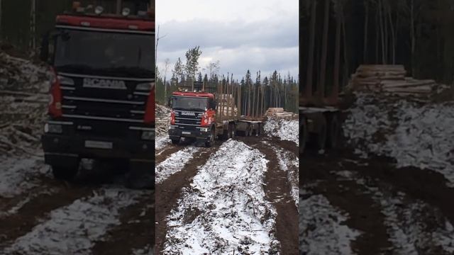 Лесовоз Скания смотреть онлайн