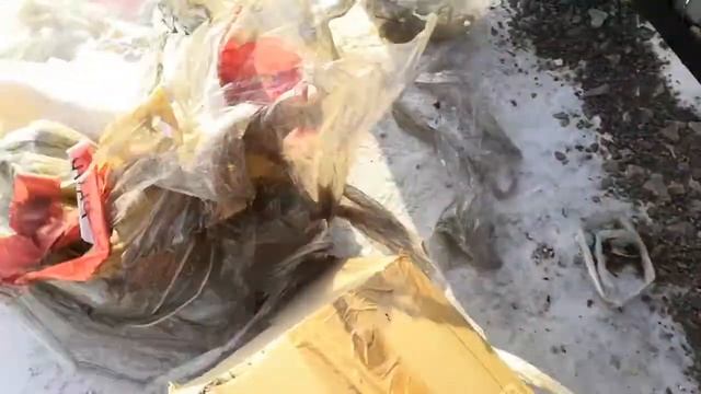 Деловые линии накручивают цену на доставку смотреть онлайн