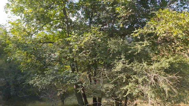 Дорога через зеленку в горах к озерам Сары Челек 26 августа 2023 года. смотреть онлайн