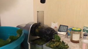 Жмём сок из лопуха, сок из трав в шнековой соковыжималке