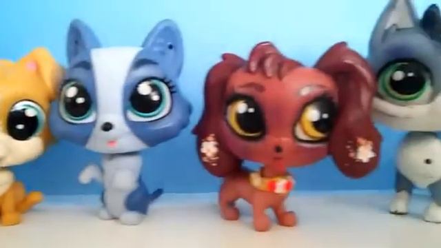 😜Вся моя Коллекция lps😘. Видео получилось коротким😕. смотреть онлайн