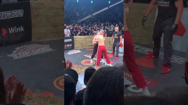 Адос vs Заботин Top Dog 10 смотреть онлайн