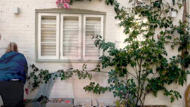 Rose Care Over The Winter / David Austin Climbing Roses смотреть онлайн