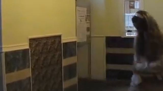 Последняя пятница июля - часть 3 смотреть онлайн