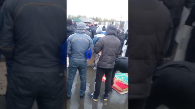 Хайит Номози Хилокский рынок Новосибирск 2015йил смотреть онлайн