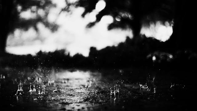 Heavy Rain by CoalFire (300th Video Special pt. 2) смотреть онлайн
