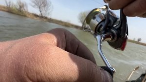 Жор сазана на нижней волге. Астрахань весна апрель 2023